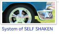 System of SELF SHAKEN